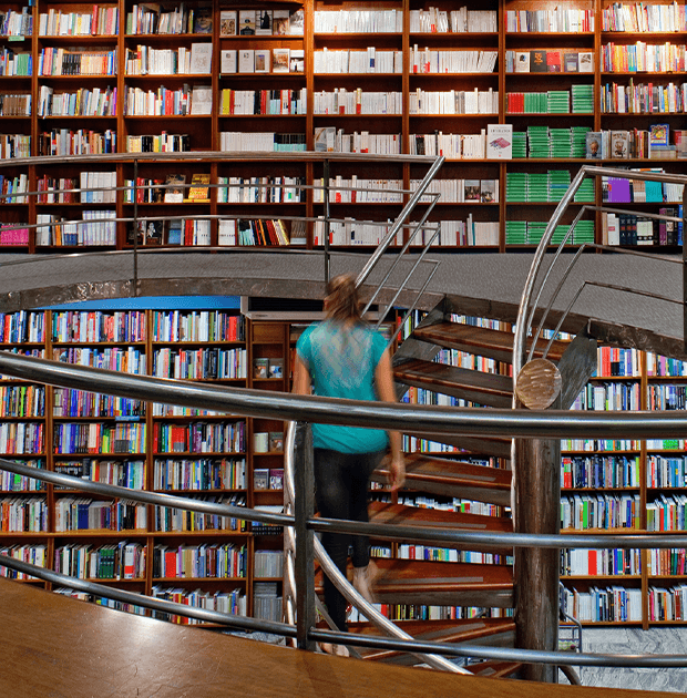 Livros SEO